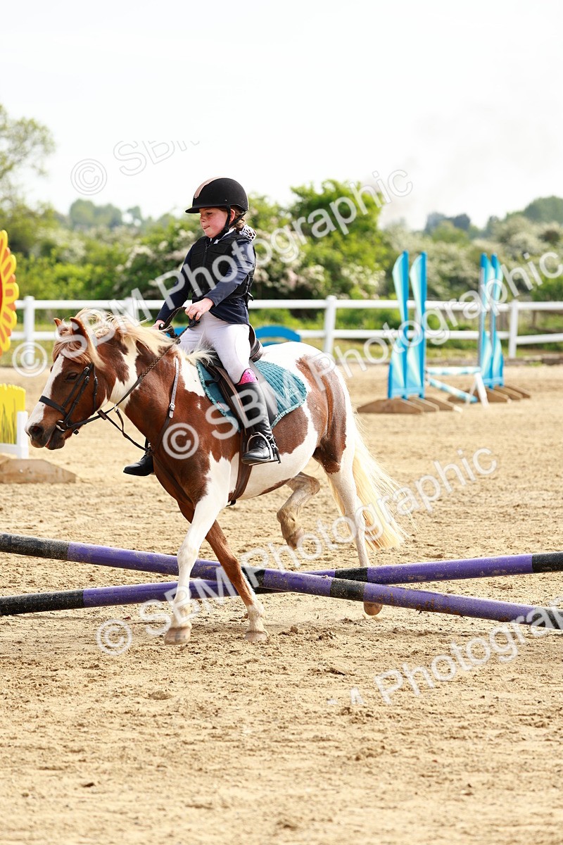 SBM_006482 - Class 1 - 40cm