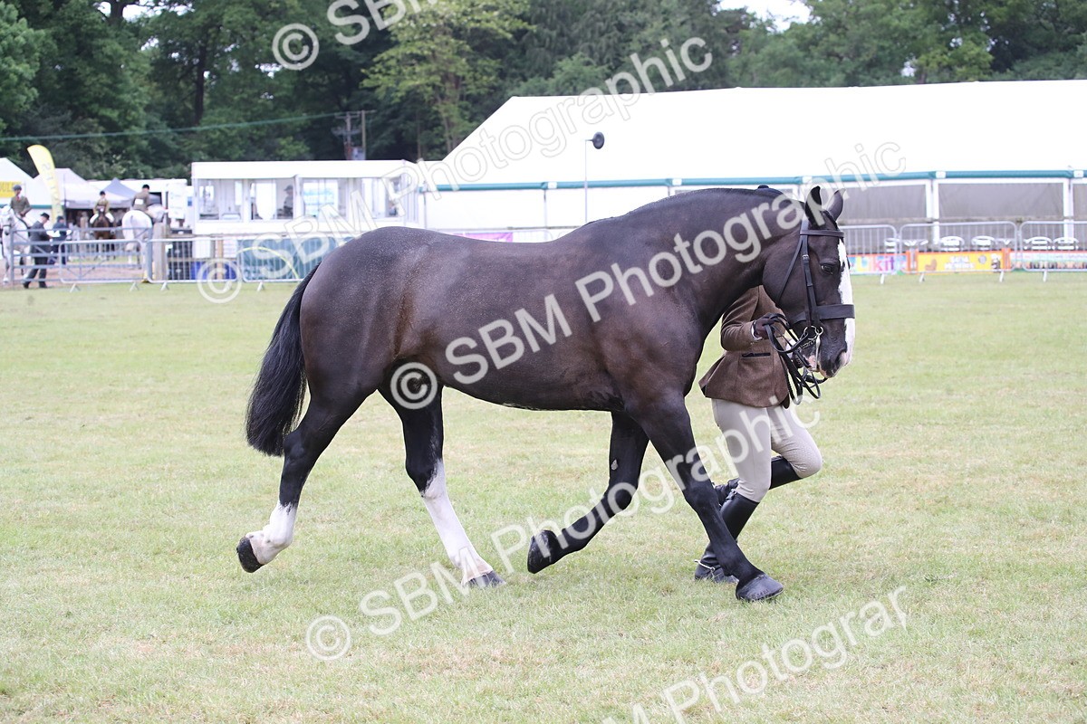 SBM_11265 - Class 92-93 - LIHS BSHA Rising Star Cobs