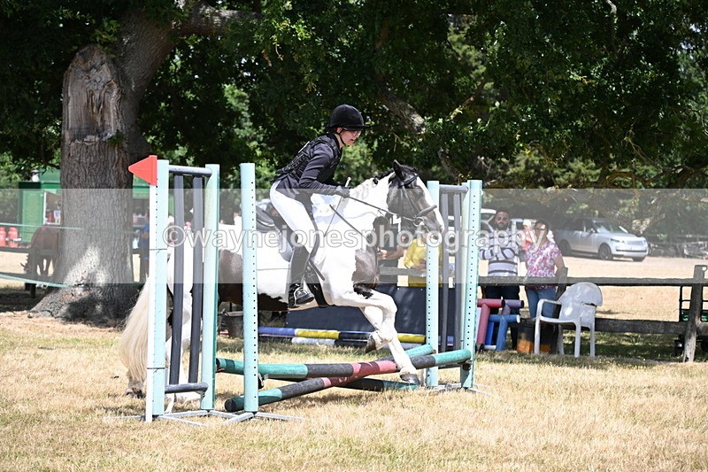 WJ6_5425 - Class 12 Minimus Jumping 45cm