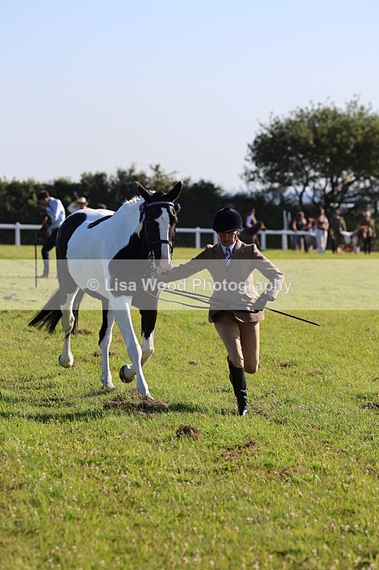 IMG_1335 - Class 27: Ridden Plaited Coloured Horse