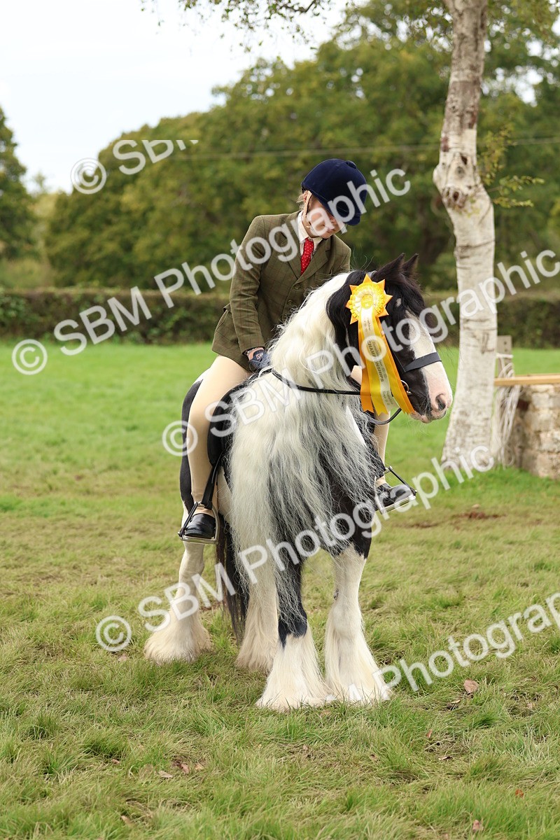 SBM_64678 - S58 - Coloured Pony Ridden