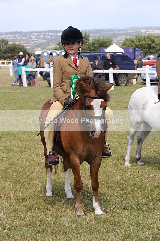 1X9A5456 - Class 37: NPS M&M First Ridden