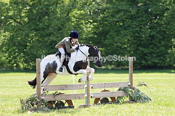 IMG_3827 - Working Hunter