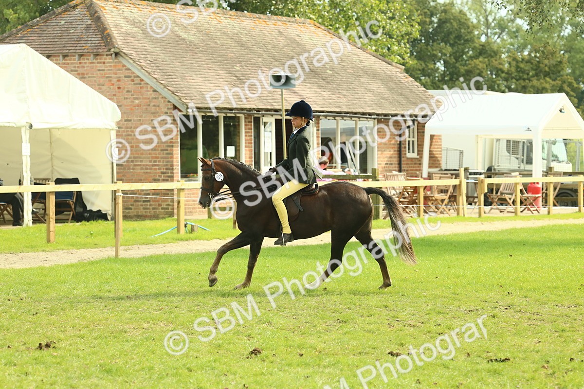SBM_68058 - S57 - Part Bred Pony Ridden