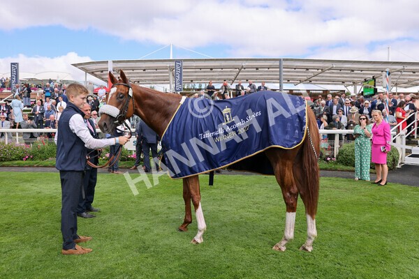 yr17082022r2-63 - Race 2 2.25pm Tattersalls Acomb Stakes