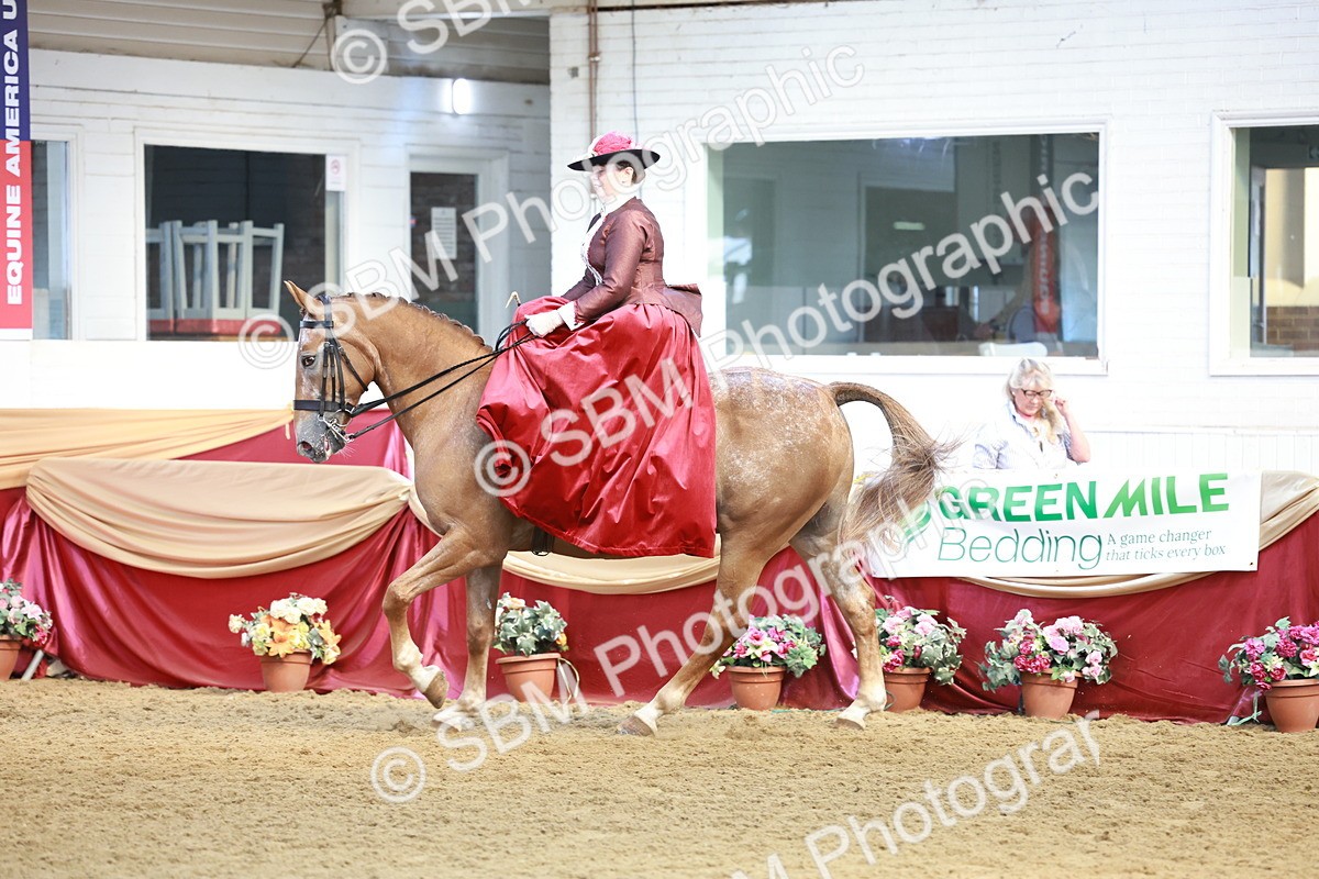 SBM_13568 - Class 105 - Ridden Costume - Side Saddle