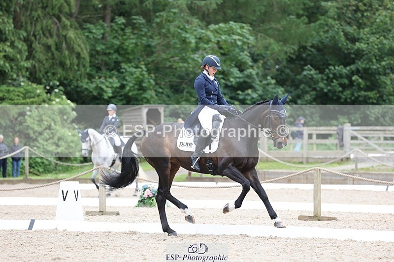 240524-164155-11101 - 372-PENCOS_CROWN_JEWEL-Millie_Juleff