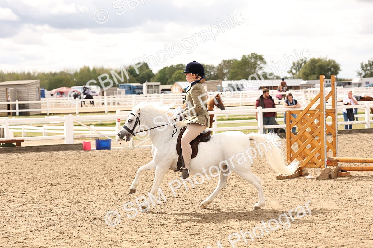 SBM_05193 - Class 56b -  Style & Performance - 50cm (20+)