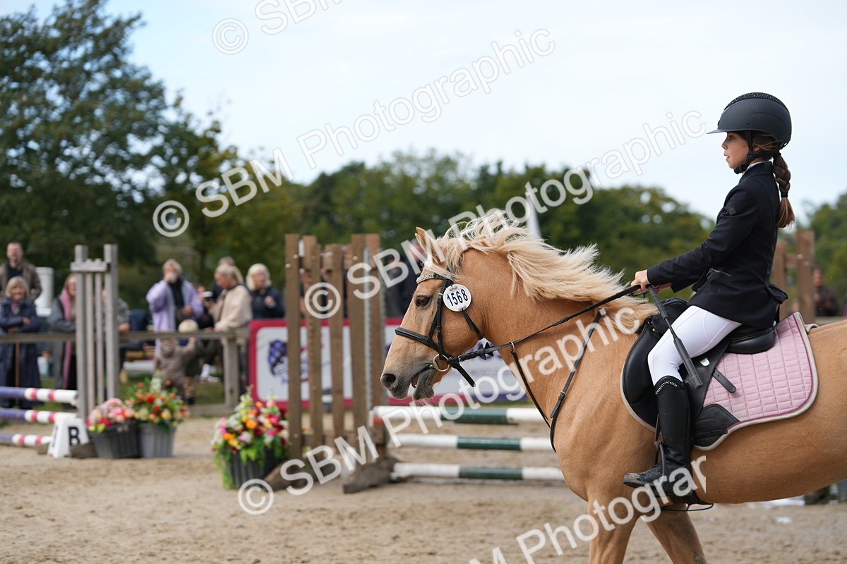 SBM_40039 - J6 - Junior Pony 55cm Championship