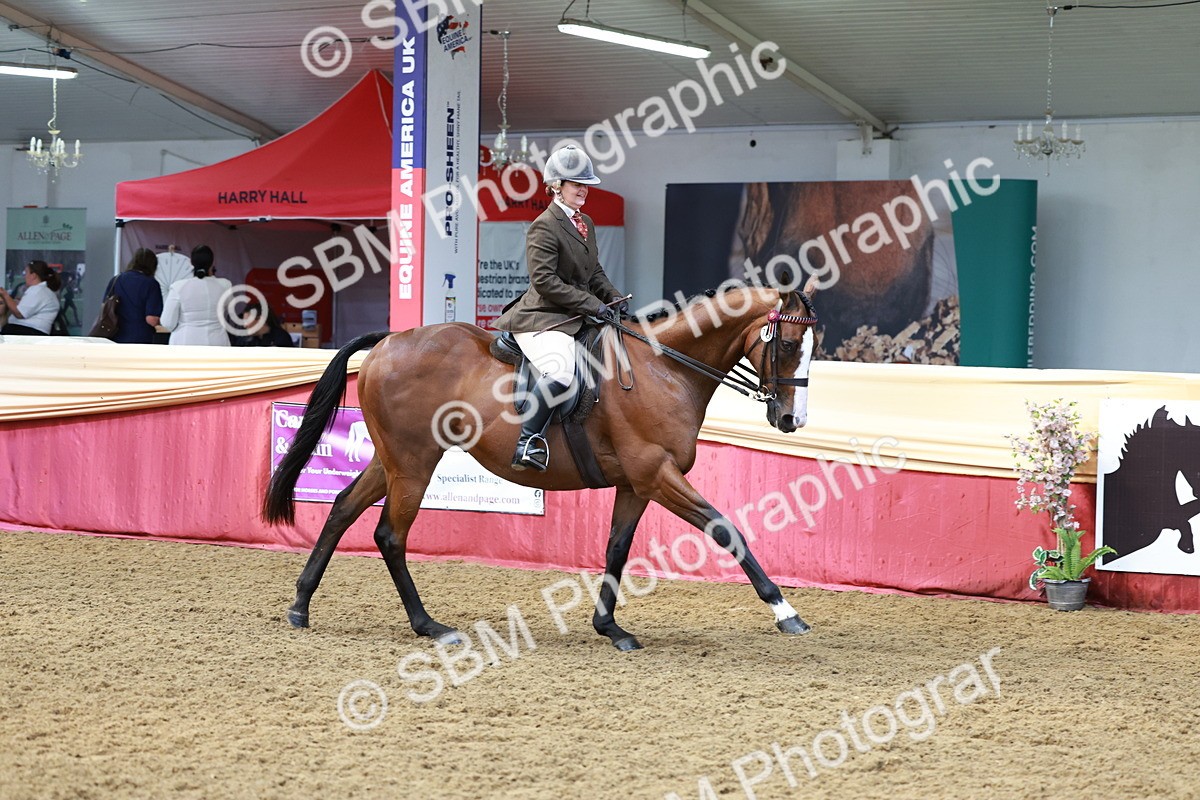 SBM_14899 - Class 108 - Ridden Retired Racehorse