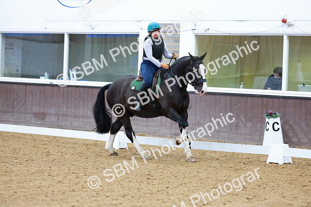 1I0A0922 - Class 3-6 - Prelim 1-Novice 2