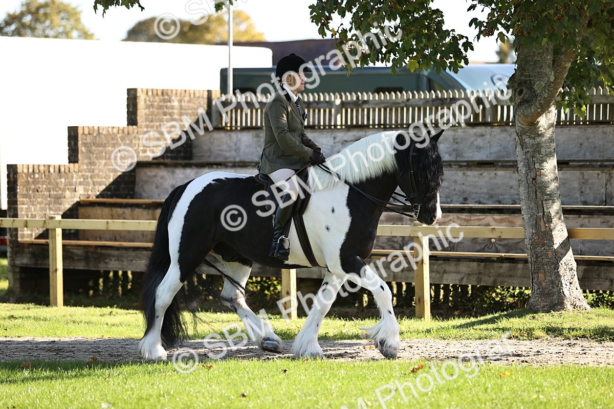 SBM_16872 - S2 - TSR Ridden Pony Showing