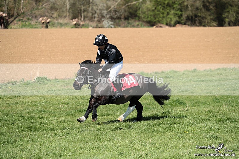 Shet 060426 320 - Shetland Pony Racing Paxford Races Easter Mon 06/04/26
