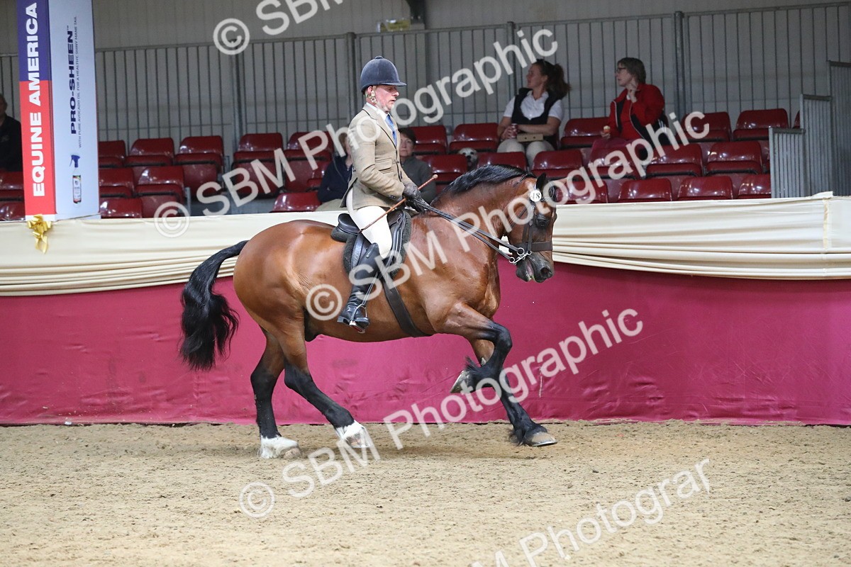 SBM_16331 - Class 502 M&M Ridden Supreme Final