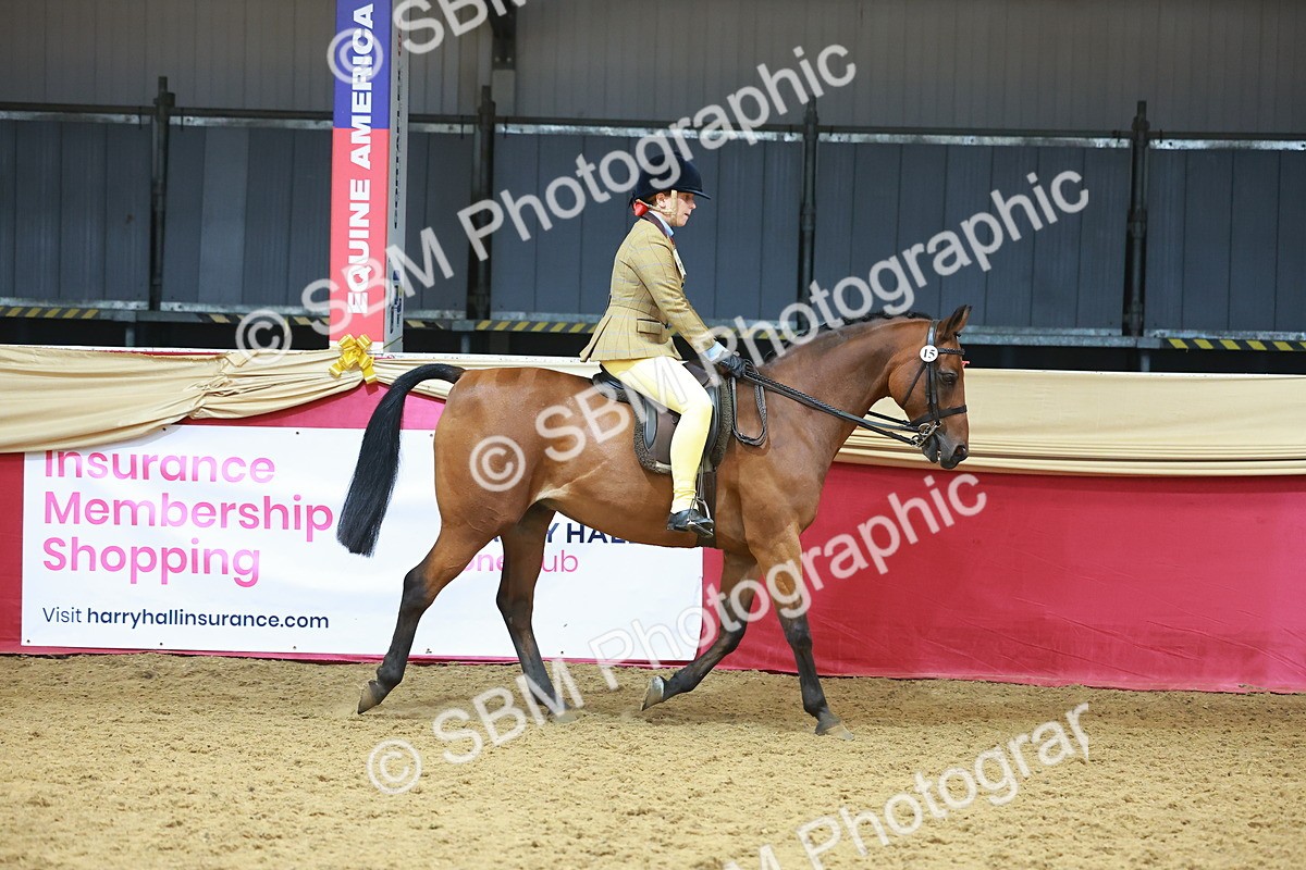 SBM_12402 - Class 103 - HOYS Veteran Qualifier - Ridden Pre Vet