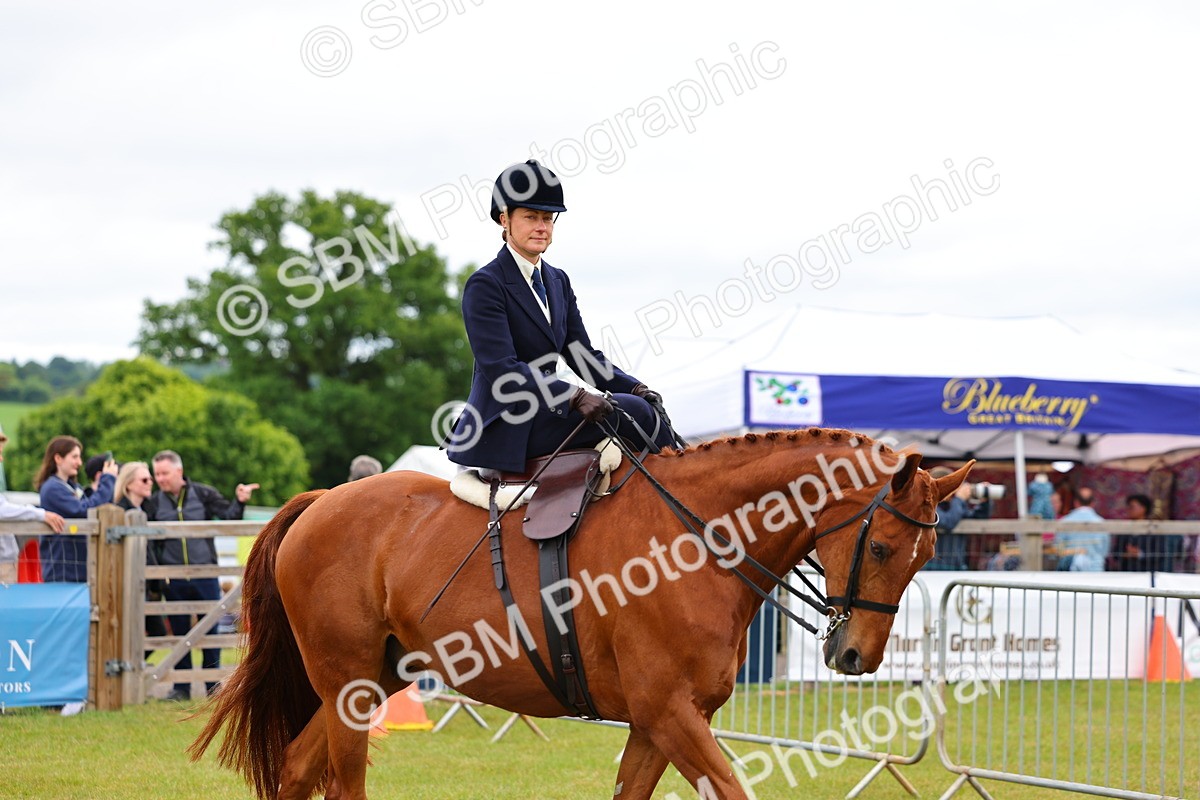 SBM_02697 - Class 9-11 Side Saddle including LIHS Rising Star Ladies Show Horse