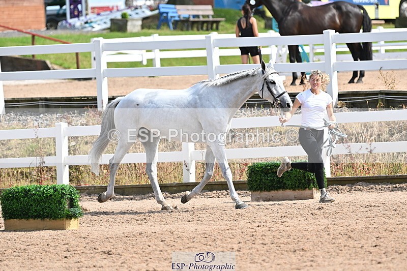 240717A-155954-03248 - Trot Up 3pm to 4pm