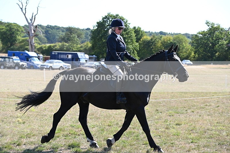 WJ6_7475 - Class 34 Judges Choice