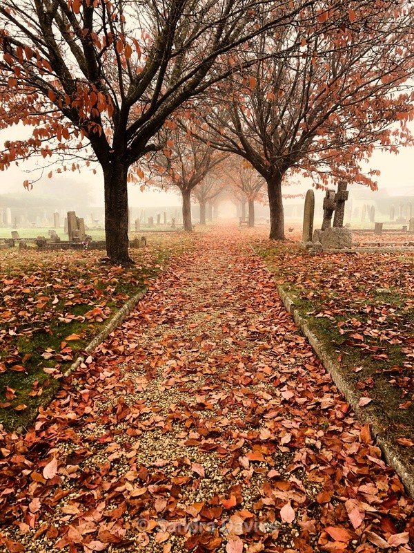 Cemetery in the autumn mist - Abstract, Macro & Misc.