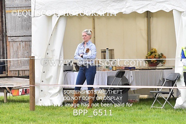 BPP_6511 - CLASS 1 Senior Newcomers/ 1.10m Open