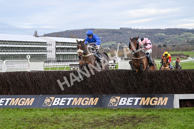 141224-Race 5-Libberty Hunter-2010 - Race 5