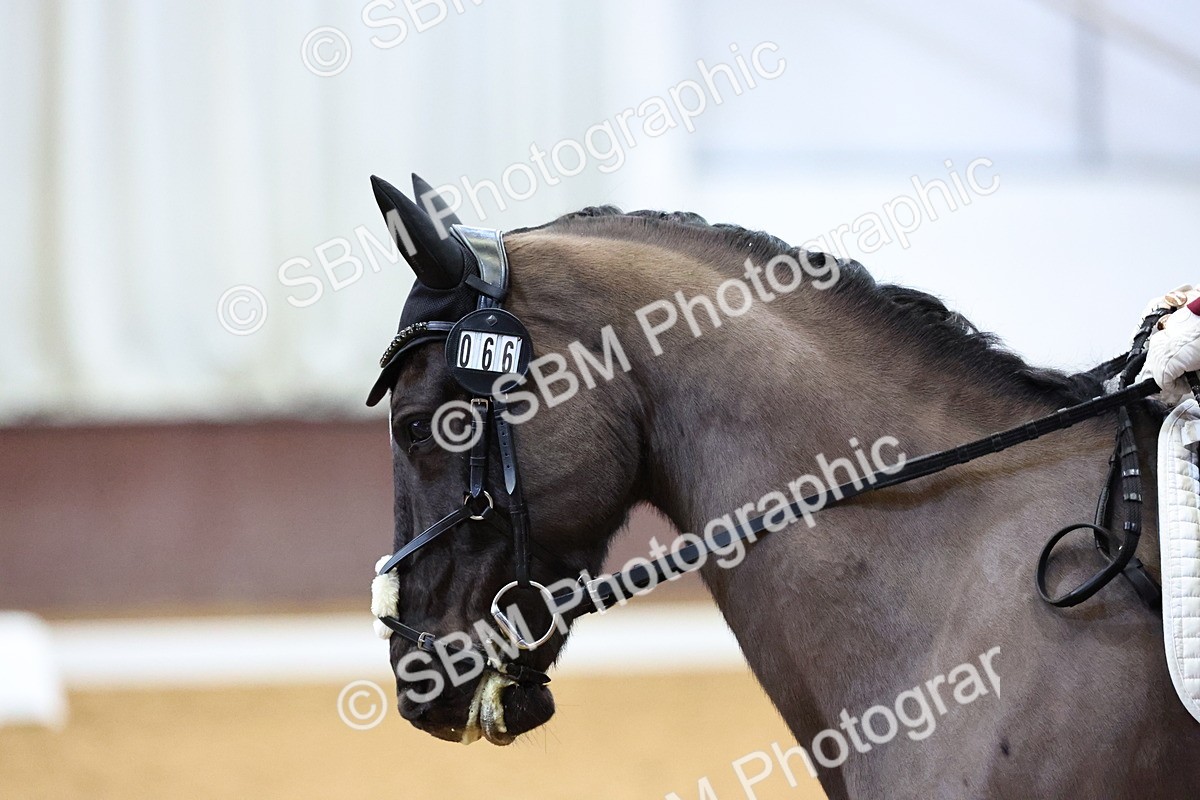 SBM_002251 - Class 15-17-19-21 - FSM