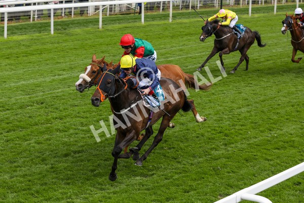 160524-Race 2-Point Lynas-1808 - Race 2 2.45pm Oakmere Homes Hambleton Handicap