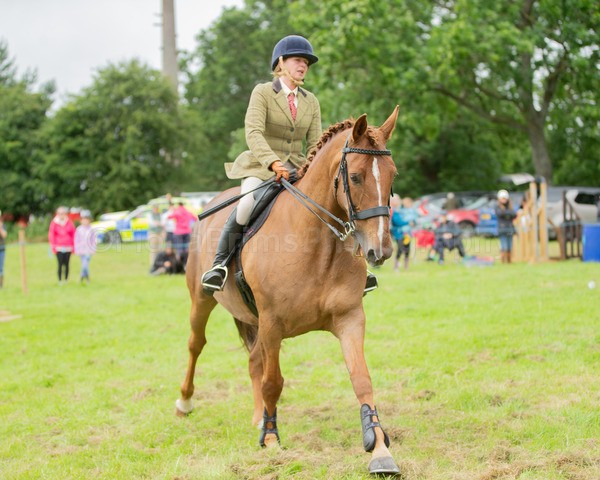 Dunblane show-668 - Dunblane and Doune Show Ring 1