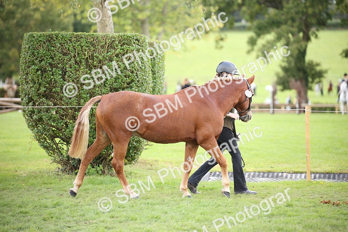 SBM_44365 - S24 - Young Veteran in hand