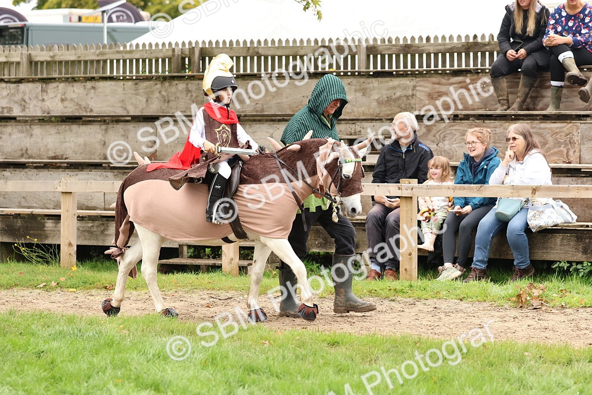 SBM_61625 - S37a - Fancy Dress Showing