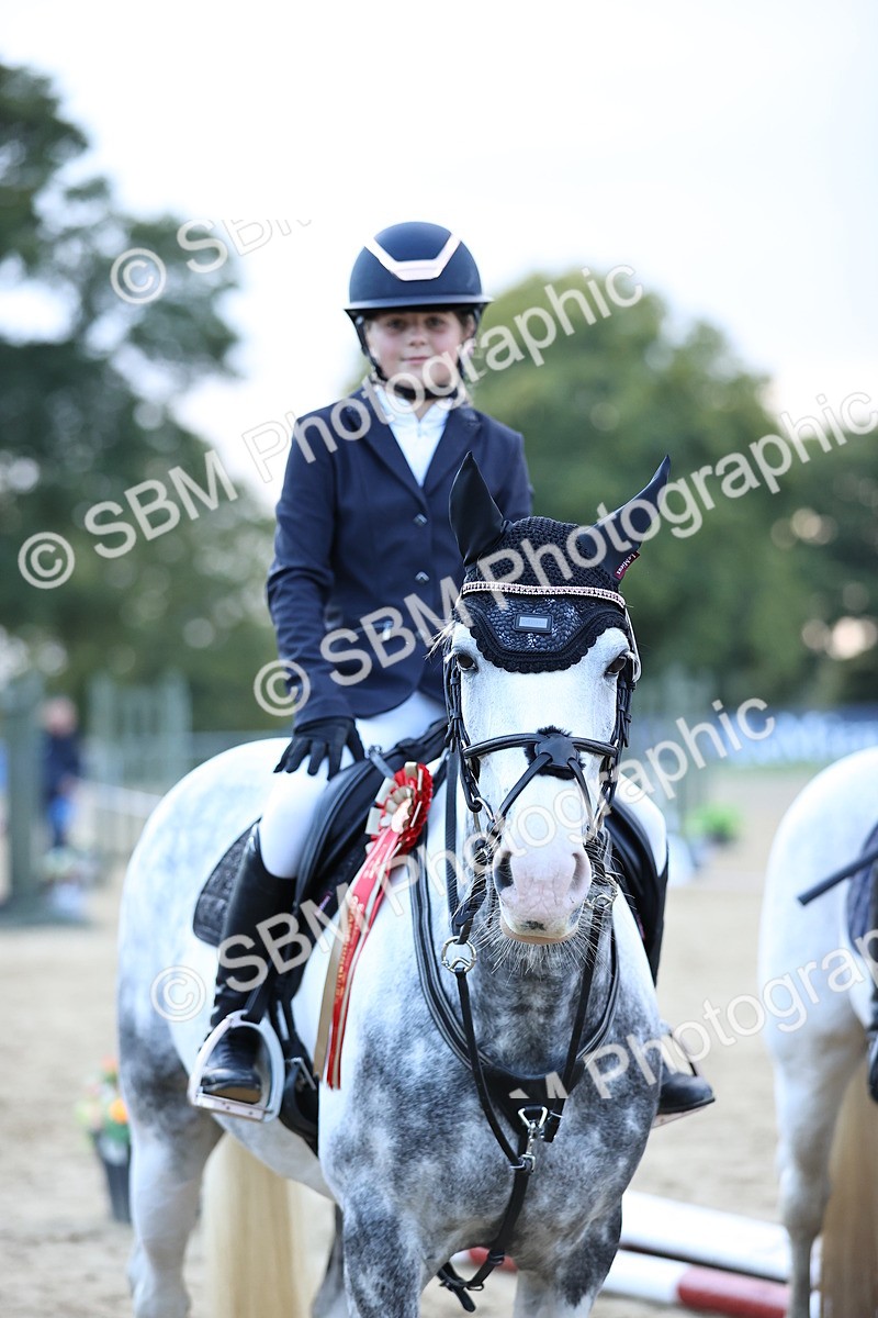 SBM_54422 - Supreme Championship 70cm 75cm