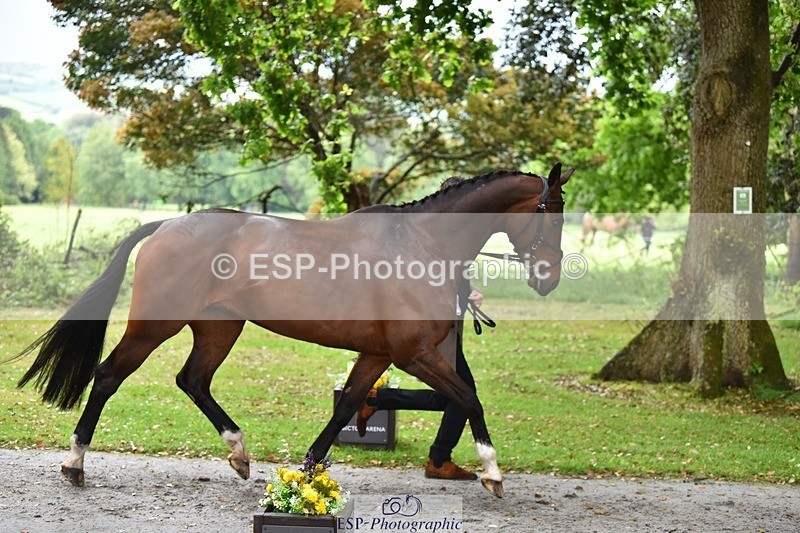 240522-160236-00672 - 116-KEEP_HAPPY-Anna_Price