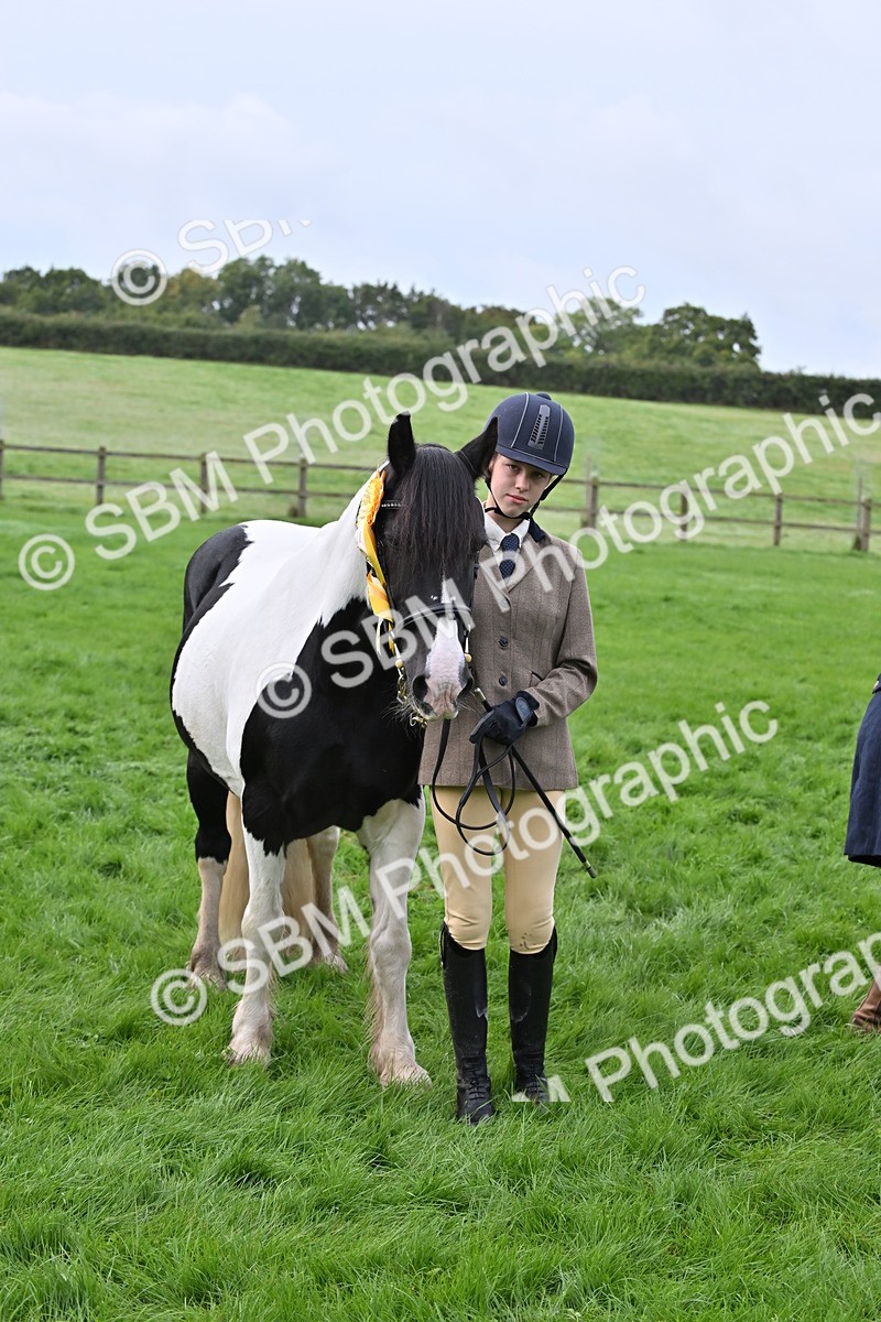 SBM_56991 - S45 - Coloured Pony In Hand