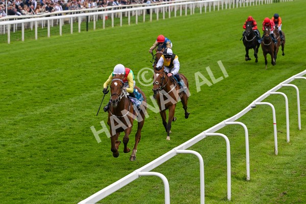 250524-Race 6-Primo Lara-4218 - Race 6 4.30pm Royal Yorkshire Regiment Handicap