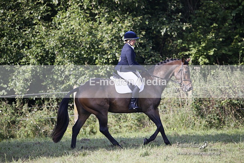 BVRC 120921 103 - Bourne Valley Riding Club UA Dressage & Show Jumping 12/09/21