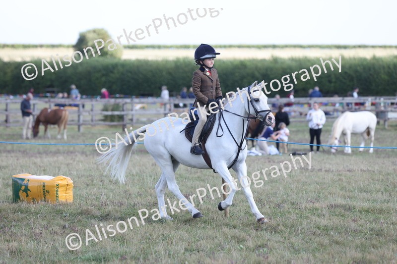 20250831-2841 - Class 18 - Childs First Pony