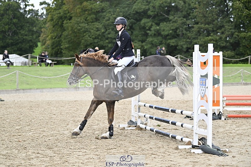 251005A-130258-04023 - Cls 08 Mini 70-75cm