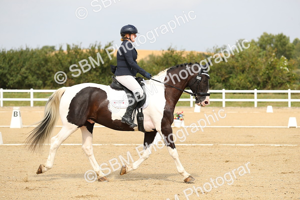 SBM_017260 - Class 13 - Novice 23 - 13.31-14.13