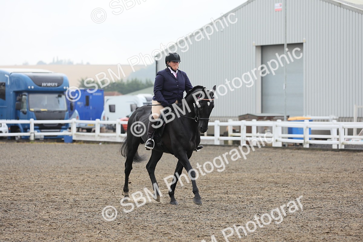 SBM_21305 - Class 805 - Ridden Veteran Horse