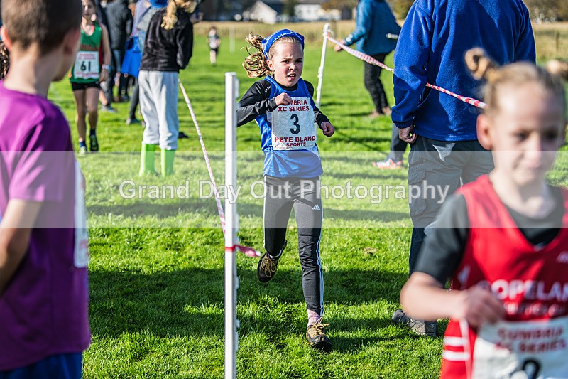 Cumbria XC-34 - Cumbria XC League Workington Saturday 26th October 2024
