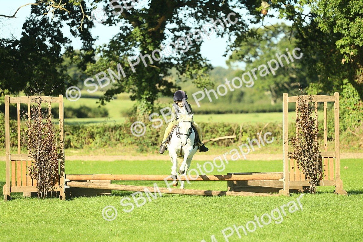 SBM_36381 - S29 - Novice & Newcomers Working Hunter Pony