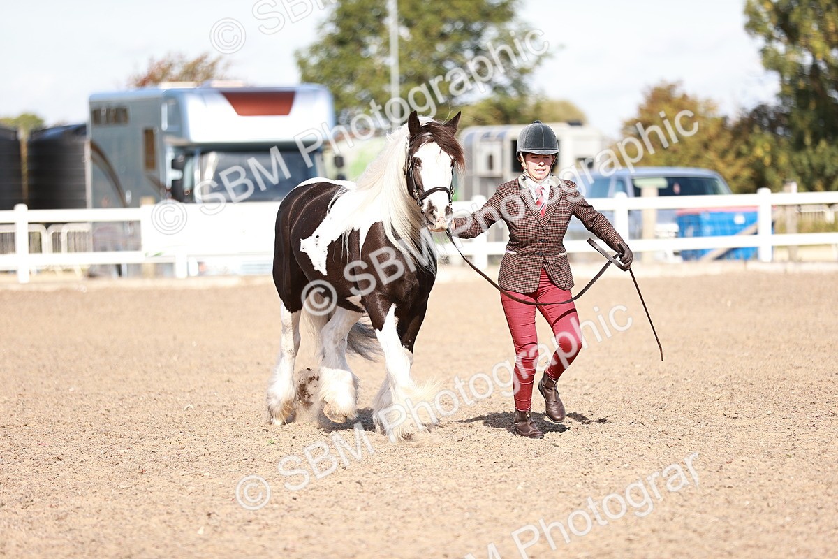 SBM_12592 - Class 404 - IH Traditional - Native Cob