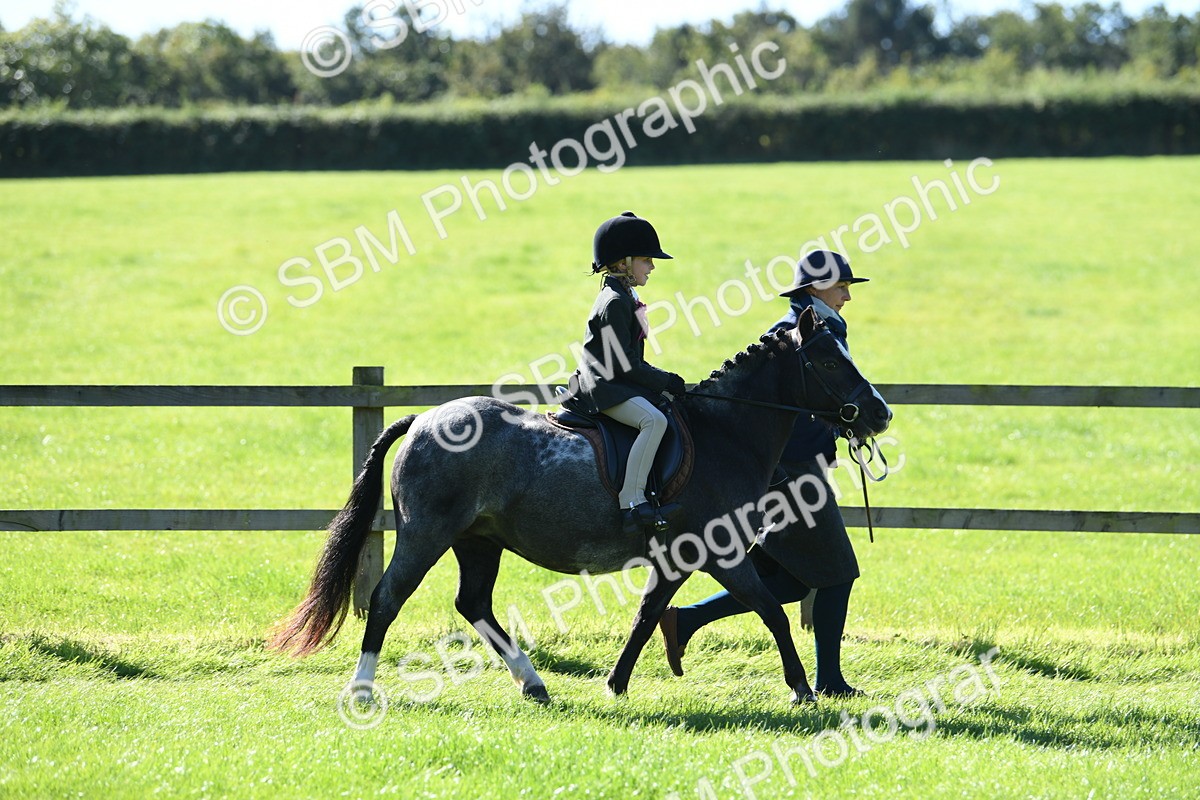 SBM_39562 - S18 - Novice & Newcomers Lead Rein Pony