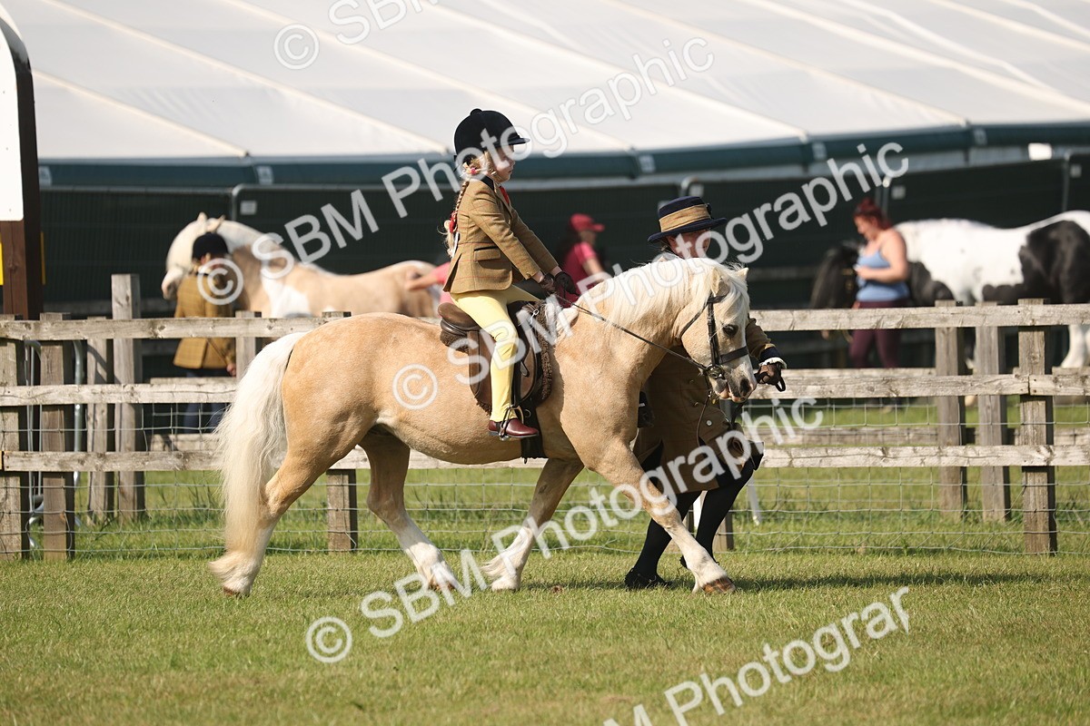 SBM_10188 - Class 33-38 - SSADL RIHS Qualifiers