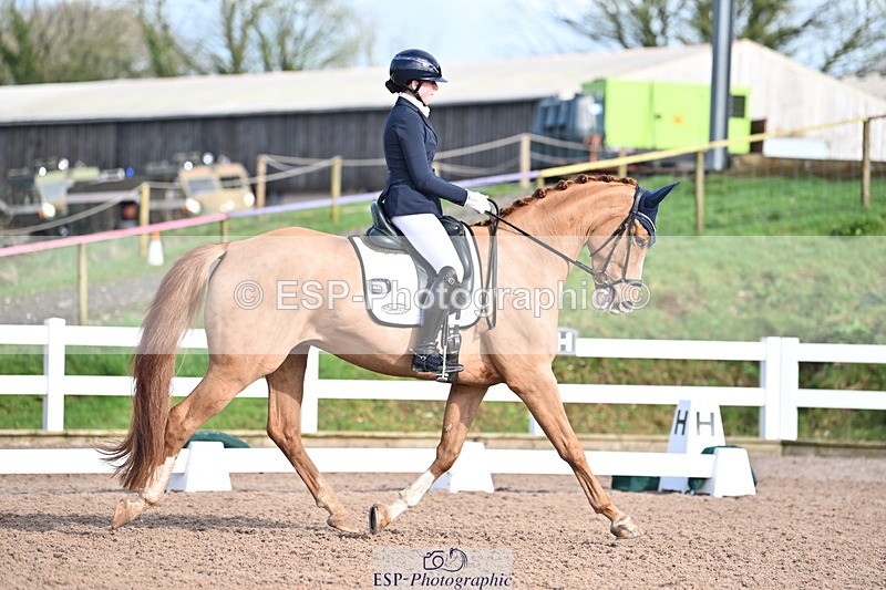 240218A-114147-06804 - 272-Beth.Bainbridge-Newton.Dreamcatcher