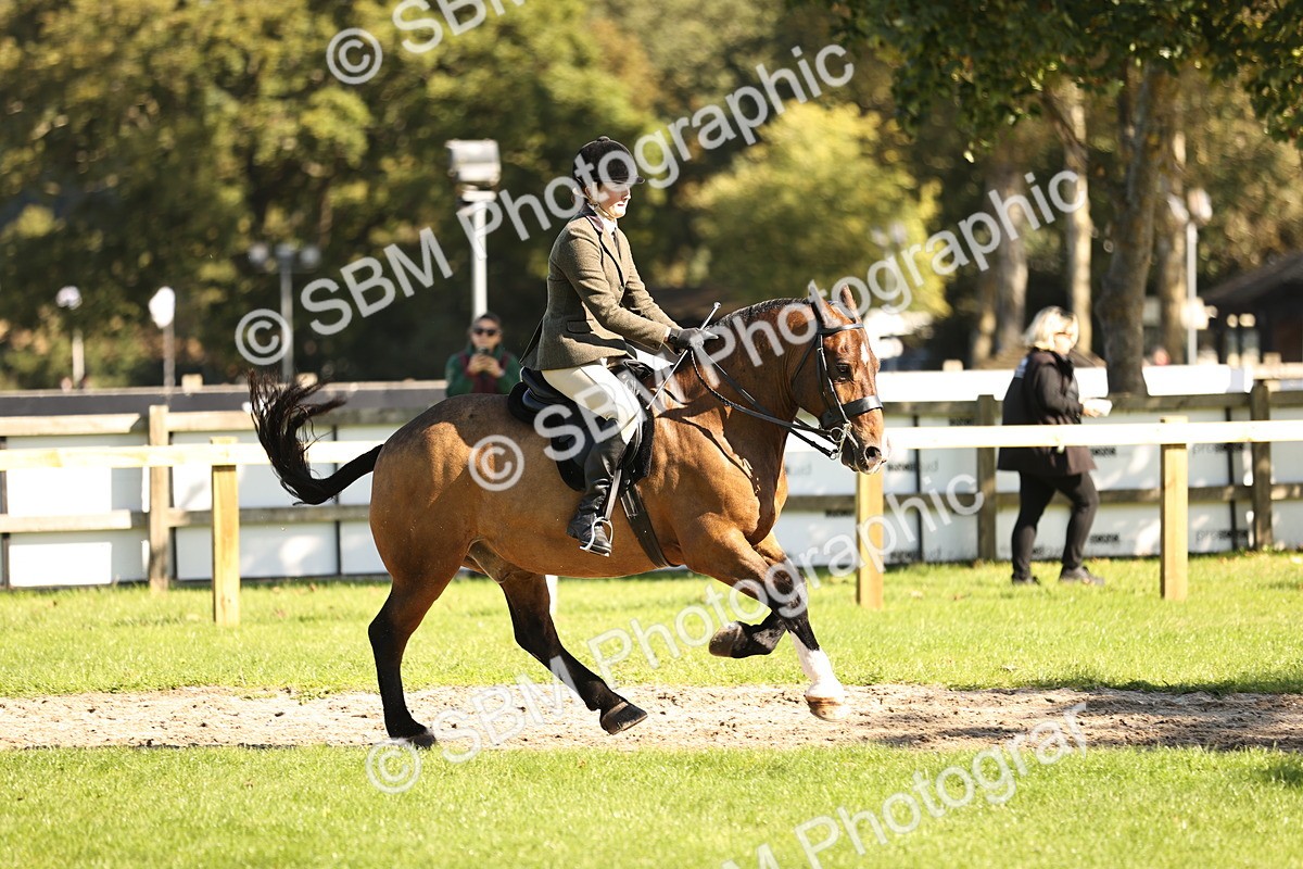 SBM_19122 - S3 - TSR Ridden Pony Showing