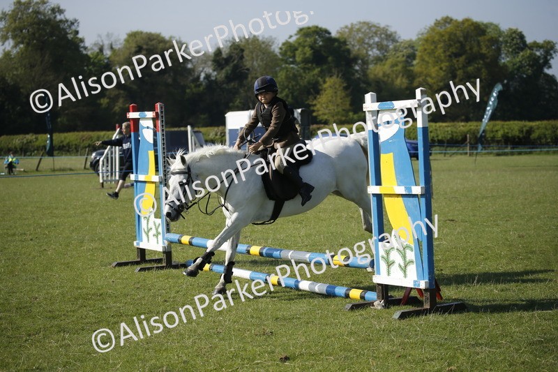 20250427-0352 - Class 12 - Rookie Jumping 40cm