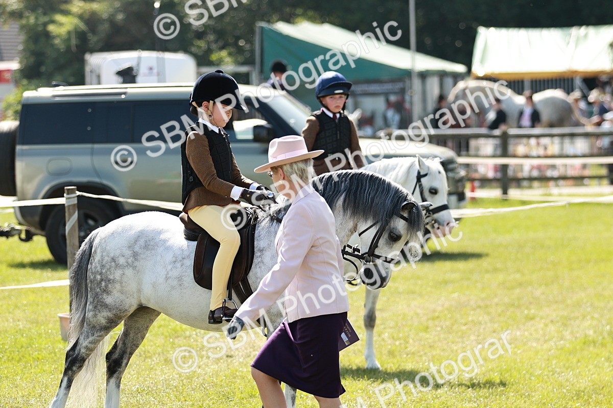 SBM_12708 - Class 106-107 - BSPS LIHS Working Sports Pony