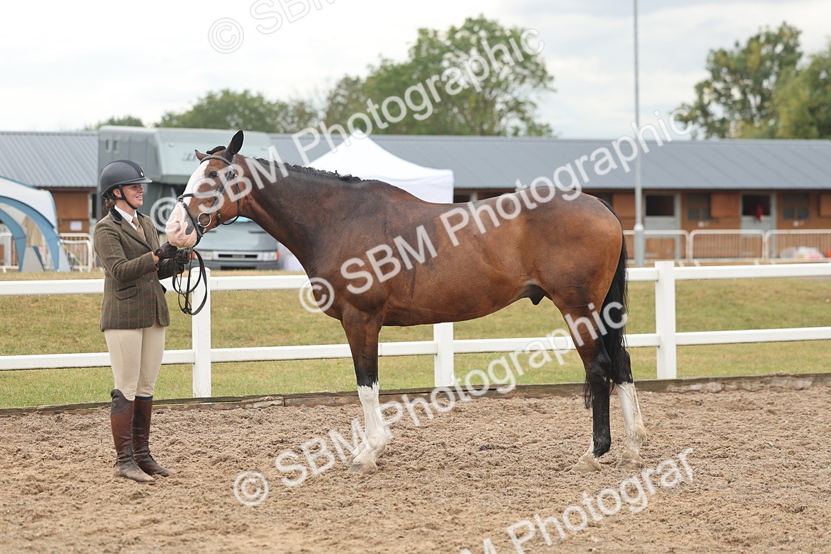 SBM_07810 - Class 27 - IH Competition Horse/Pony