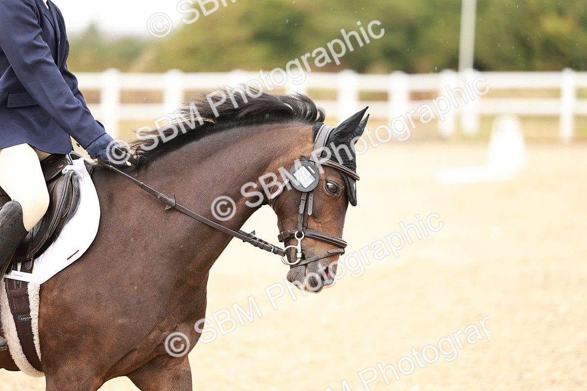 SBM_000042 - Class 1 - Intro 2 Warm Up 9.00-9.35